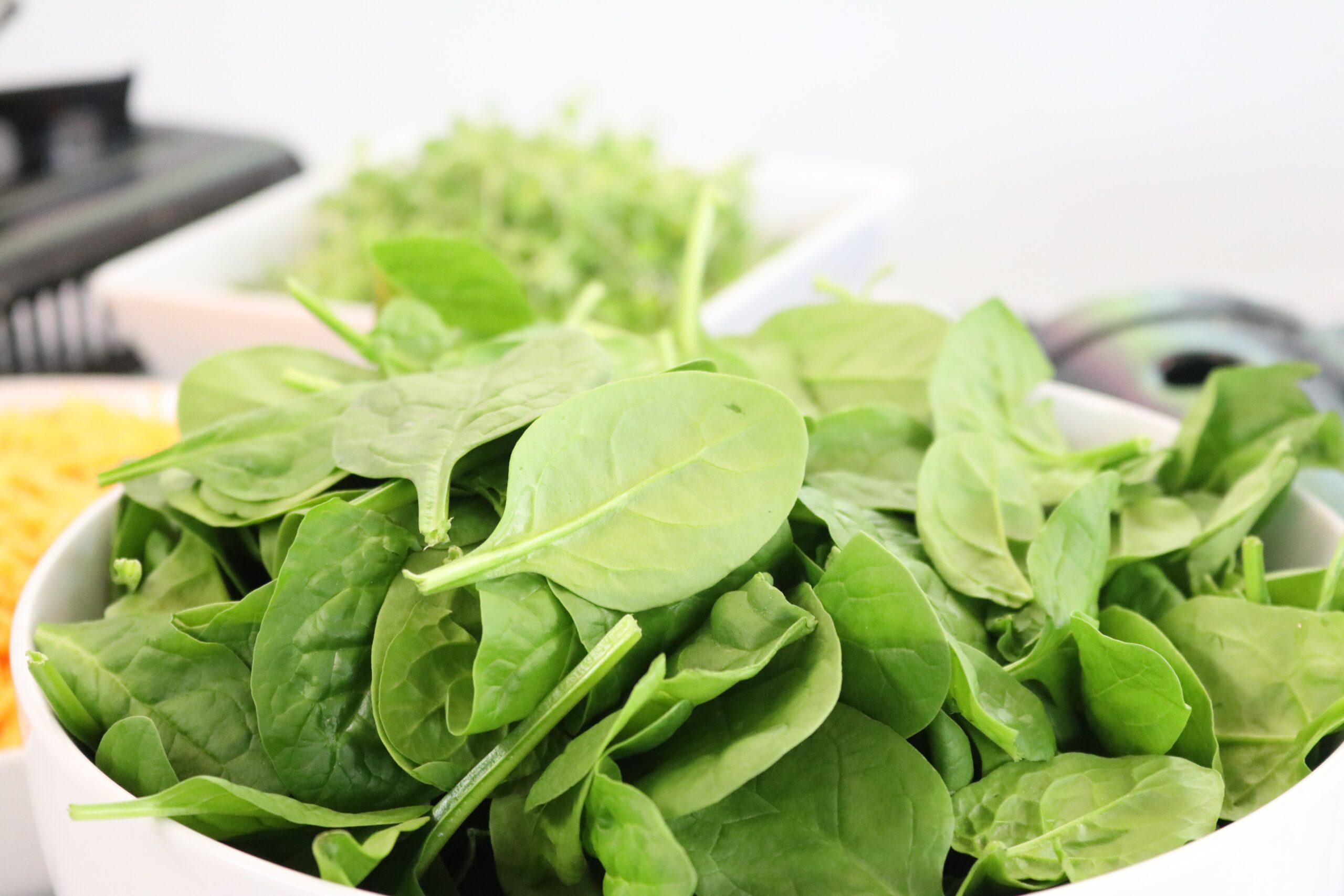 SPINACH : THE GREEN POWERHOUSE SPINACH Blog